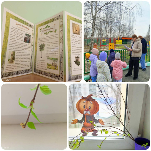 День Белой березы День Белой березы.